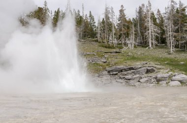 Wyoming 'deki Yellowstone Ulusal Parkı' nda gayzer.