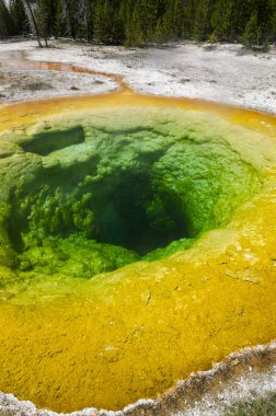 Wyoming 'deki Yellowstone Ulusal Parkı' nda gayzer.