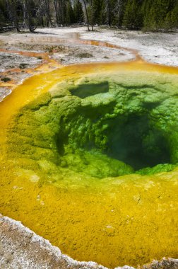 Wyoming 'deki Yellowstone Ulusal Parkı' nda gayzer.