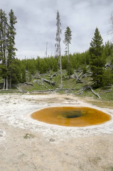 Geiser Parque Nacional Yellowstone Wyoming — Foto de Stock