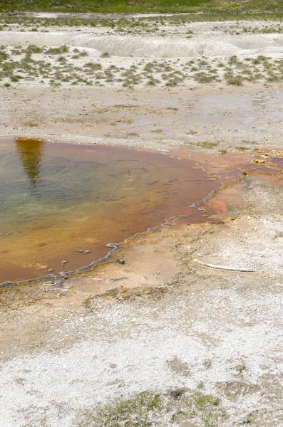 Geyser Στο Εθνικό Πάρκο Yellowstone Στο Γουαϊόμινγκ — Φωτογραφία Αρχείου