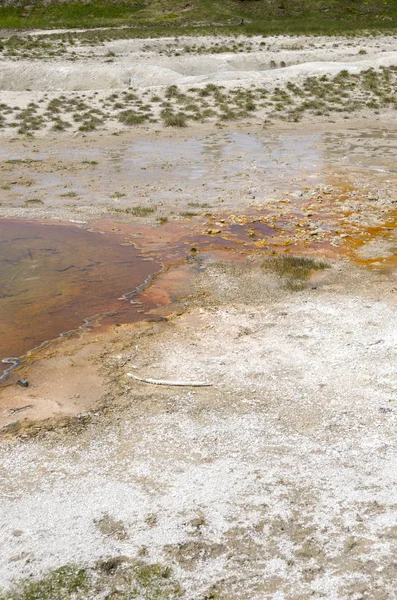 Wyoming 'deki Yellowstone Ulusal Parkı' nda gayzer.