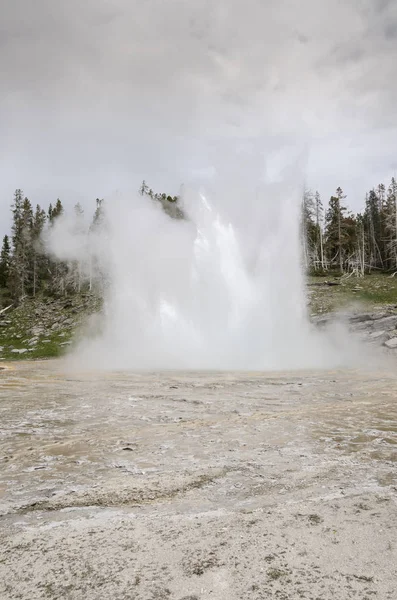 Geyser Dans Parc National Yellowstone Dans Wyoming — Photo