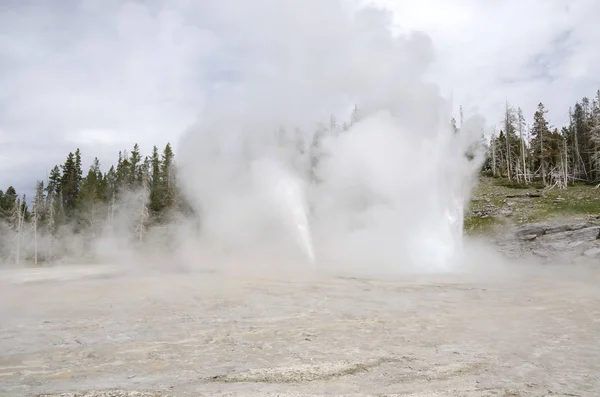 Geyser Yellowstone National Park Wyoming — Stock Photo, Image