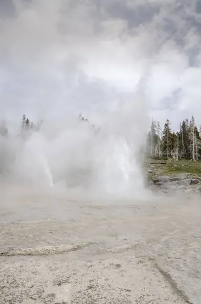 Geyser Yellowstone National Park Wyoming — Stock Photo, Image