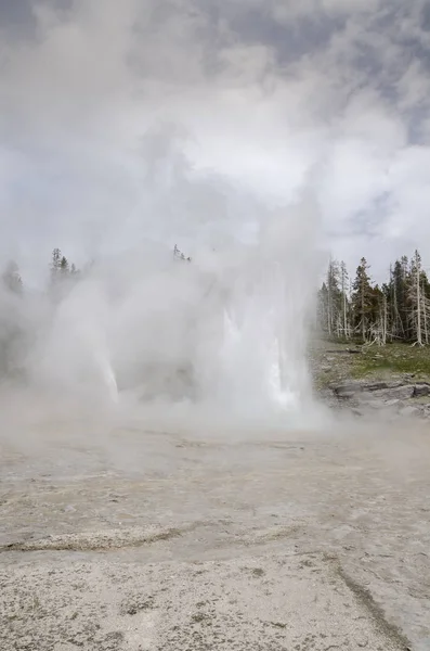 Geyser Yellowstone National Park Wyoming — Stock Photo, Image