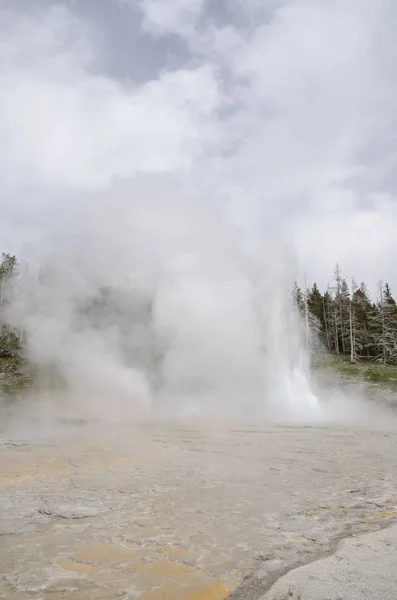 Geyser Yellowstone National Park Wyoming — Stock Photo, Image