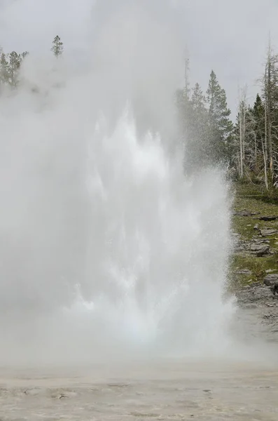 Geyser Yellowstone National Park Wyoming — Stock Photo, Image