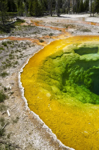 Geiser Parque Nacional Yellowstone Wyoming — Foto de Stock