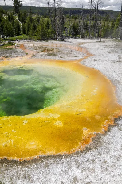 Geiser Parque Nacional Yellowstone Wyoming — Foto de Stock