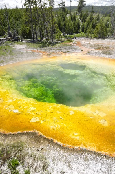 Geiser Parque Nacional Yellowstone Wyoming — Foto de Stock