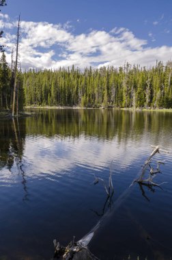 otlaklar, göller ve nehirler Yellowstone Milli Parkı'nda Wyoming