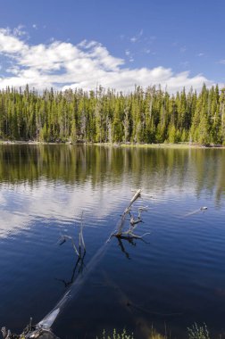 otlaklar, göller ve nehirler Yellowstone Milli Parkı'nda Wyoming