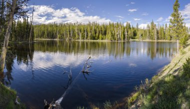 otlaklar, göller ve nehirler Yellowstone Milli Parkı'nda Wyoming