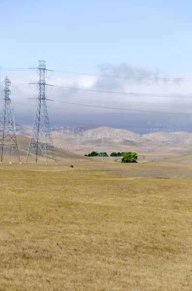 Hunderte Von Windrädern Windpark Livermore Golden Hill Kalifornien Den Vereinigten — Stockfoto