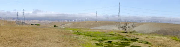 Setki Turbin Wiatrowych Farmy Wiatrowej Livermore Golden Hill Kalifornii Stany — Zdjęcie stockowe