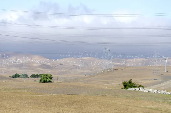 Honderden Windmolens Windpark Livermore Golden Hill Californië Verenigde Staten Van — Stockfoto