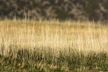 sonbahar manzara dağlarda Cenova İtalya Liguria