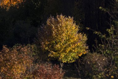 sonbahar manzara dağlarda Cenova İtalya Liguria