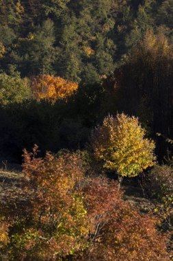 sonbahar manzara dağlarda Cenova İtalya Liguria
