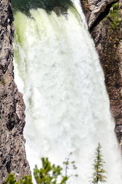 Yellowstone Faller Yellowstone Nationalpark Wyoming — Stockfoto