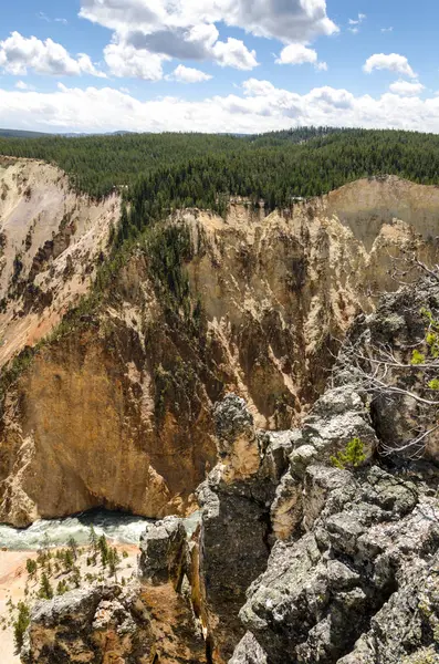 Yellowstone Falls Parque Nacional Yellowstone Wyoming — Foto de Stock