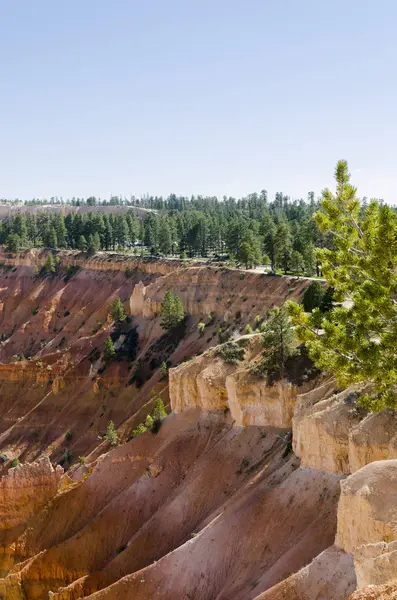 Liggend Bryce Canyon Verenigde Staten Van Amerika — Stockfoto