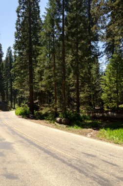 manzara Sequoia National Park California, Amerika Birleşik Devletleri
