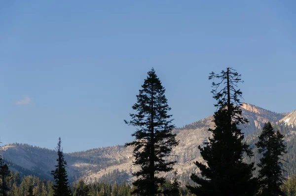 Paysage Dans Parc National Sequoia Californie Aux États Unis Amérique — Photo