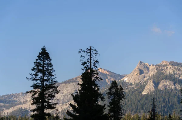 Landscape Sequoia National Park California United States America — Stock Photo, Image