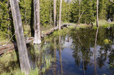 otlaklar, göller ve nehirler Yellowstone Milli Parkı'nda Wyoming