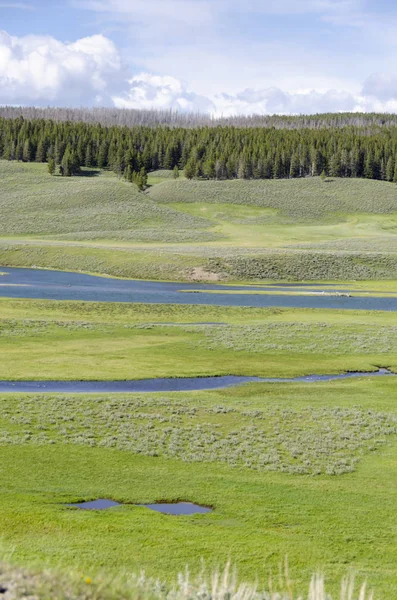 Łąk Jezior Rzek Parku Narodowym Yellowstone Stanie Wyoming — Zdjęcie stockowe