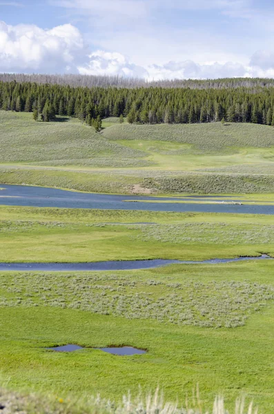 Louky Jezera Řeky Národním Parku Yellowstone Wyomingu — Stock fotografie