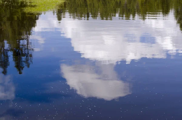 Трав Яна Земля Озер Річок Єллоустоунський Національний Парк Штаті Вайомінг — стокове фото
