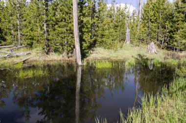 otlaklar, göller ve nehirler Yellowstone Milli Parkı'nda Wyoming