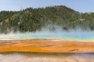 Wyoming 'deki Yellowstone Ulusal Parkı' nda büyük prizmatik bahar