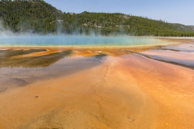 Wyoming 'deki Yellowstone Ulusal Parkı' nda büyük prizmatik bahar