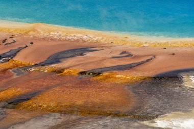 Wyoming 'deki Yellowstone Ulusal Parkı' nda büyük prizmatik bahar