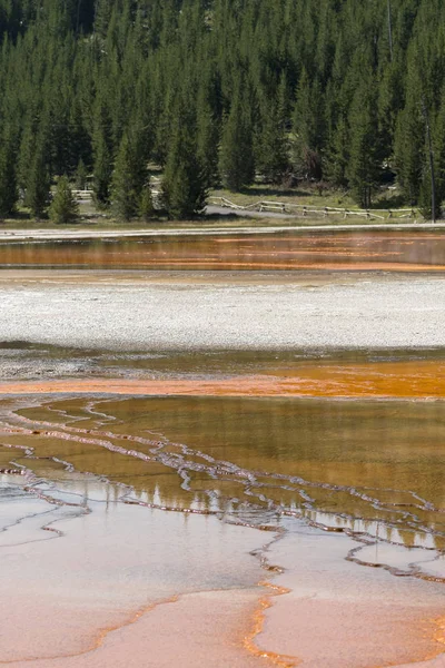 Gran Primavera Prismática Parque Nacional Yellowstone Wyoming — Foto de Stock