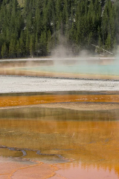 Gran Primavera Prismática Parque Nacional Yellowstone Wyoming — Foto de Stock