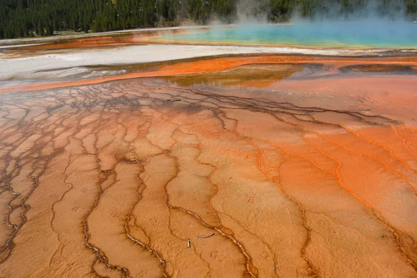 Grande Primavera Prismática Parque Nacional Yellowstone Wyoming — Fotografia de Stock