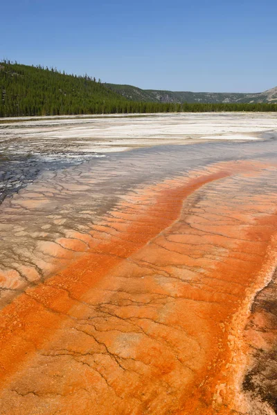 Grande Primavera Prismática Parque Nacional Yellowstone Wyoming — Fotografia de Stock