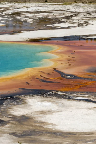 Grande Primavera Prismática Parque Nacional Yellowstone Wyoming — Fotografia de Stock