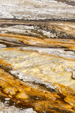 sıcak havuzu Yellowstone Milli Parkı'nda Wyoming