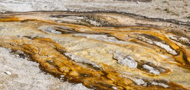 sıcak havuzu Yellowstone Milli Parkı'nda Wyoming