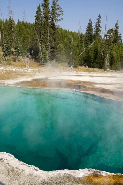 Hot Készletek Yellowstone Nemzeti Parkban Wyoming — Stock Fotó