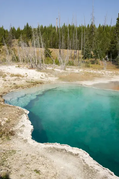 Piscines Chaudes Dans Parc National Yellowstone Dans Wyoming — Photo