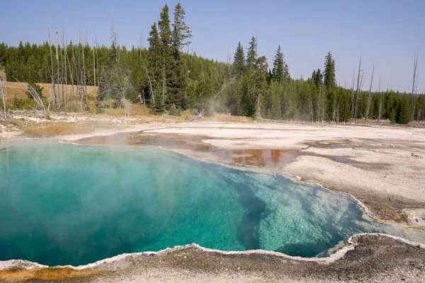 hot pools in Yellowstone National Park in Wyoming
