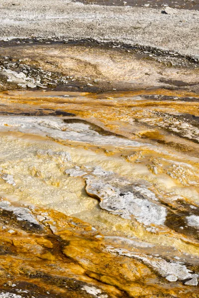 Heiße Pools Yellowstone Nationalpark Wyoming — Stockfoto