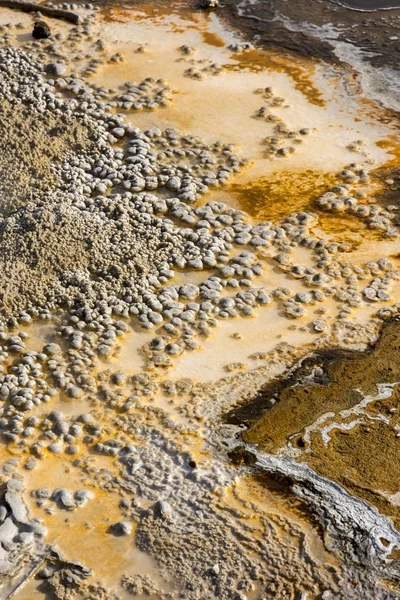 Горячие Бассейны Национальном Парке Йеллоустон Вайоминге — стоковое фото